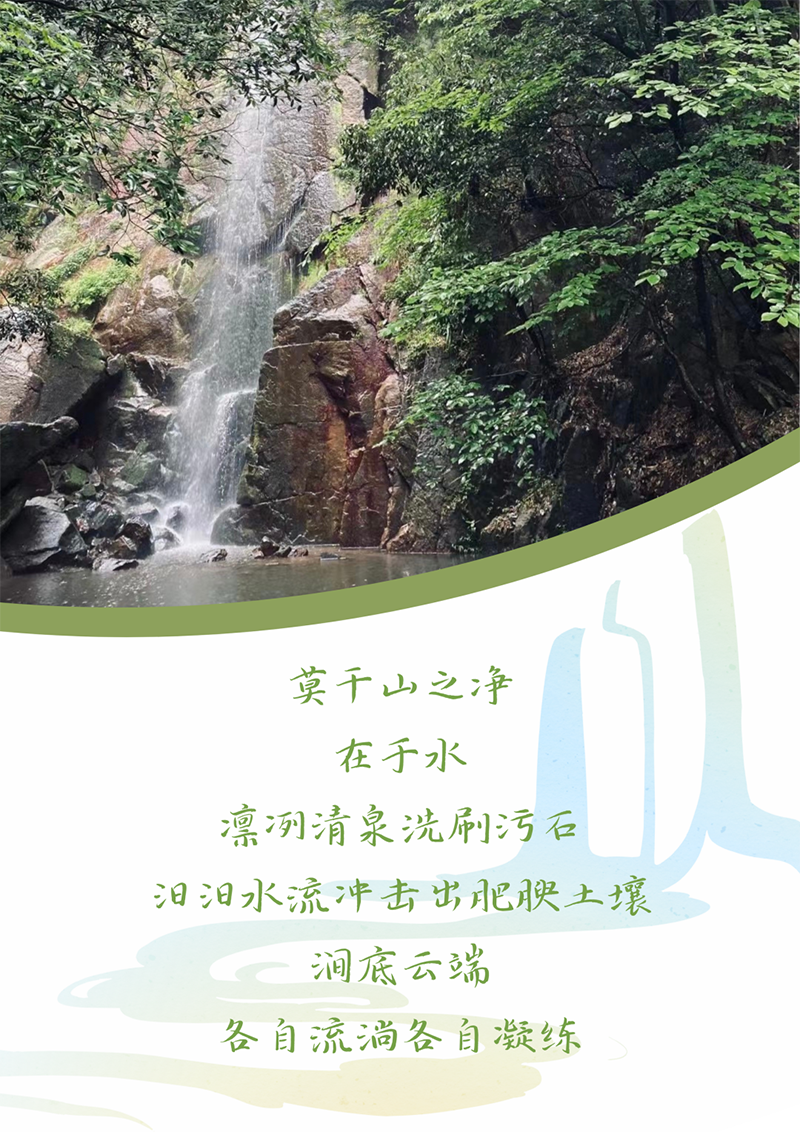 心心想廿 相伴bevictor伟德 | 与德清相约 贺廿载生日